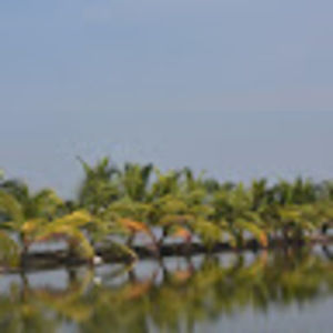 Meet your Posher, Jimi